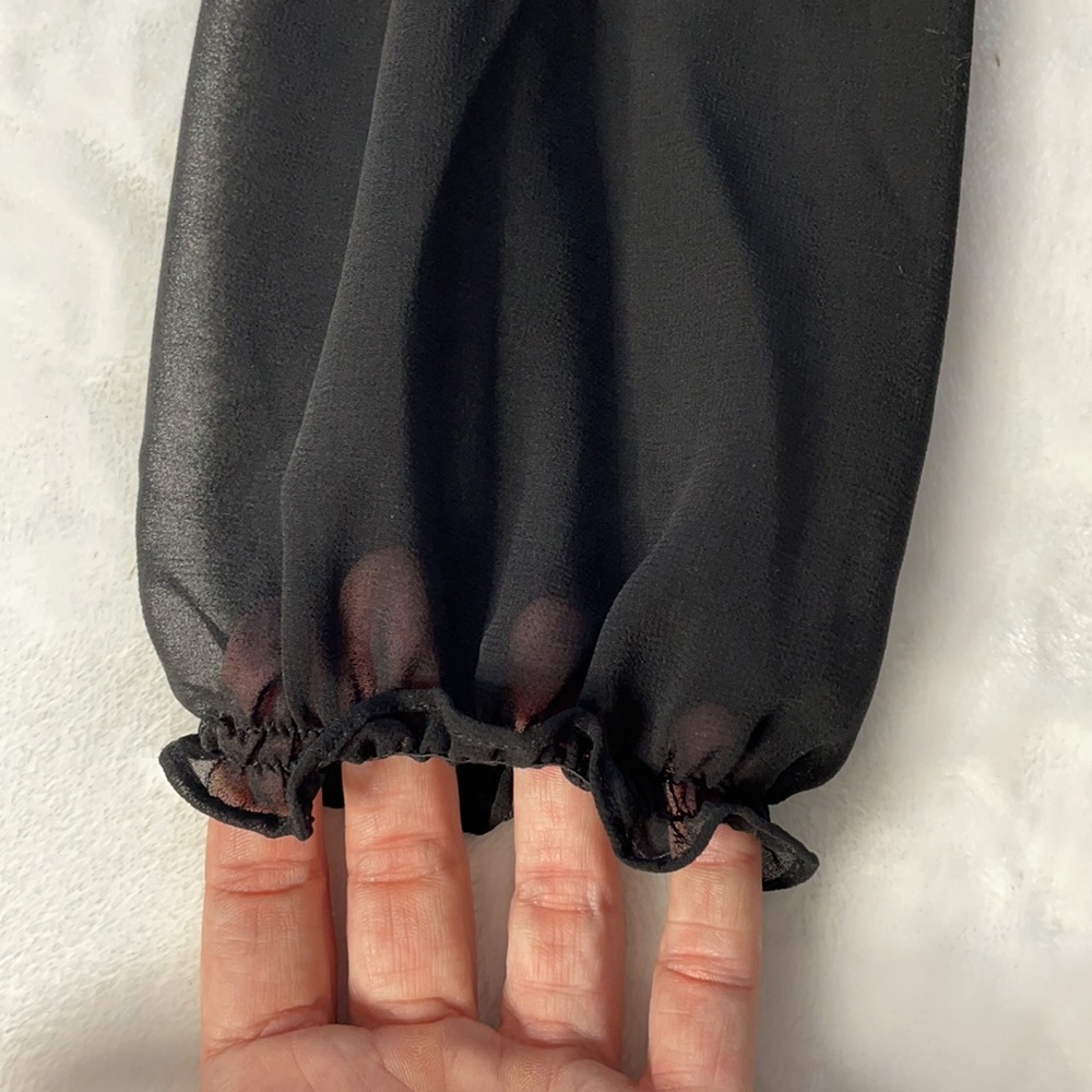 NWOT Sheer Ruffled Front Blouse - Picture 4 of 5